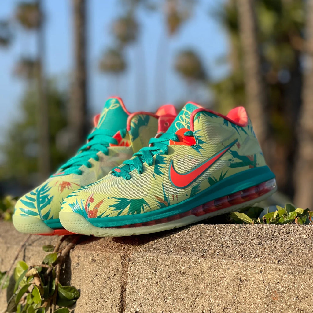 Nike LeBron 9